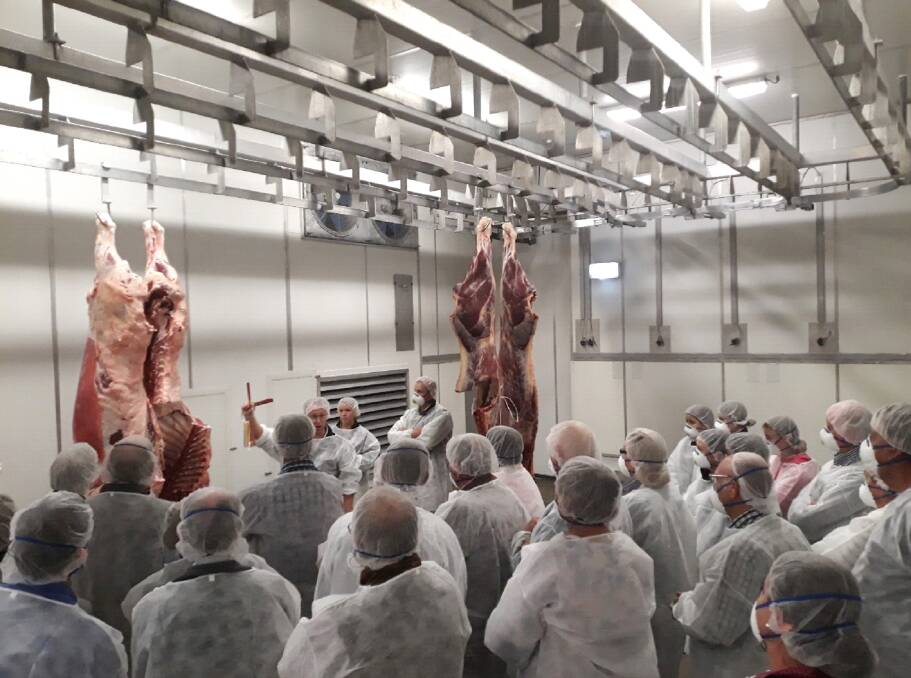 Producers at an eating quality information day held at Northern Co-operative Meat Company, Casino, were shown animals fed well, left, and on little, right.