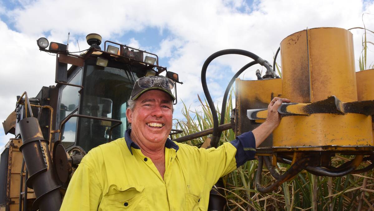 Sugar grower Rick Gollan, East Coraki, cutting green cane this week for seed billets. Despite the smile he's less than confident about the industry's long term future as pressure comes from low commodity prices and diet driven consumer attitudes.