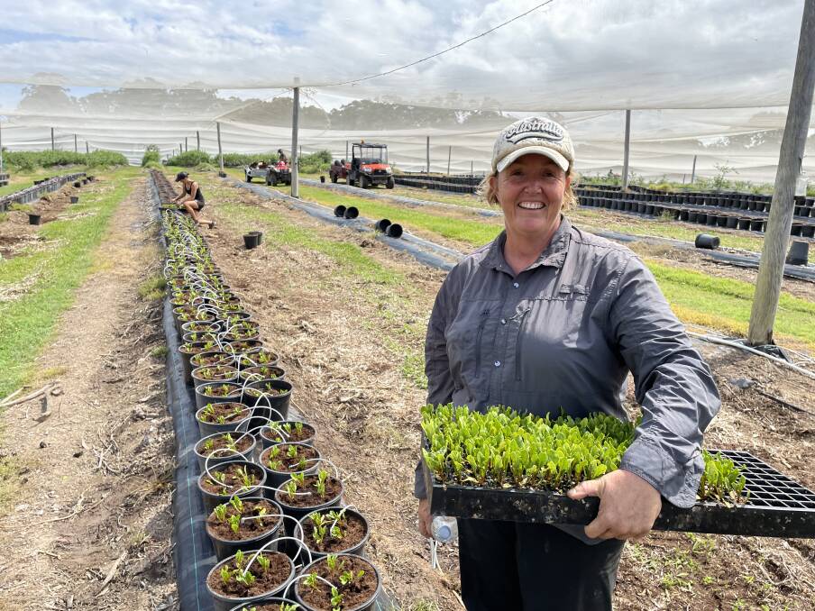 Sandy Beach blueberry grower Kellie Potts has partly switched to vegetables to bring diversity to her production.