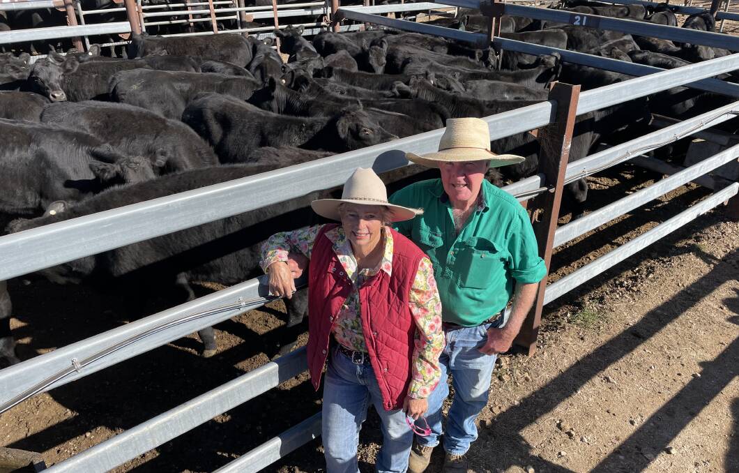 Sue and Neville Grogan, Timbera Road, offered Angus steers with Speriby North blood that made a top of $1464 a head for 375kg at 390c/kg and averaged $1273 sold through long-term repeat buyer BJA, Inverell, to be backgrounded on oats ahead of feedlot entry. Picture by Jamie Brown.