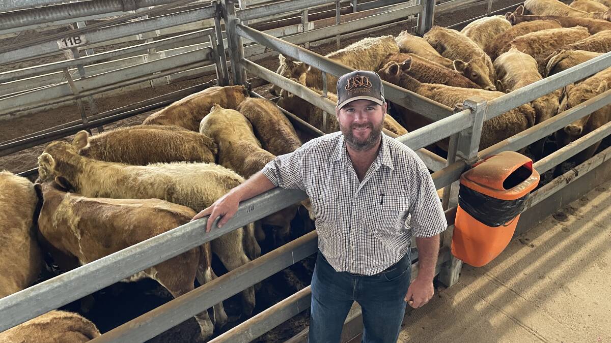 Andrew Hill, Woodenbong, with the champion pen of weaner steers - Charolais/Shorthorn - that made $1380 at Casino on Friday.
