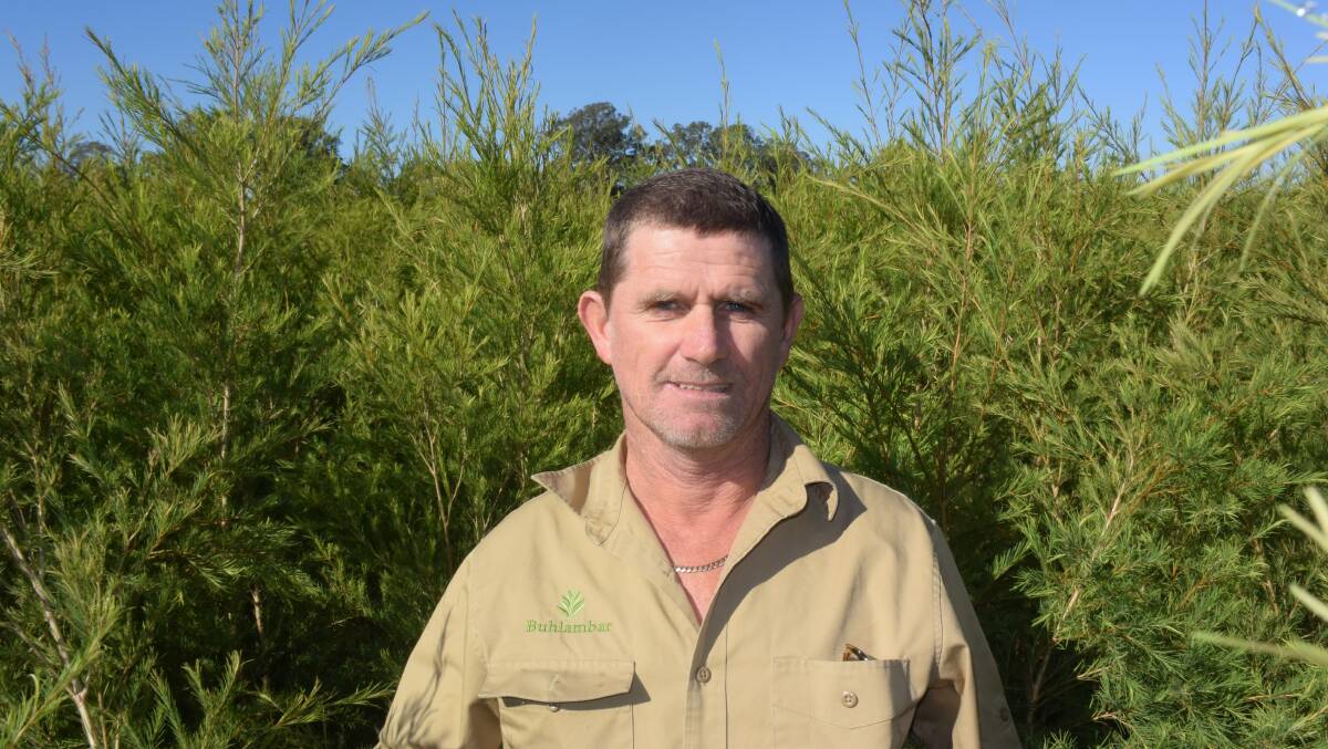 Rodney Rose, Codrington via Lismore, is expecting a good harvest after his crop took advantage of heavy rains last winter but other crops fell victim to a dry summer and others were damaged by flood.