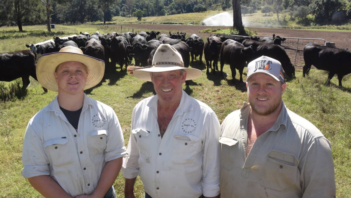 Phil Hobden with his sons Will and Harry and a new maternal line of Angus at Almavale via Denman.