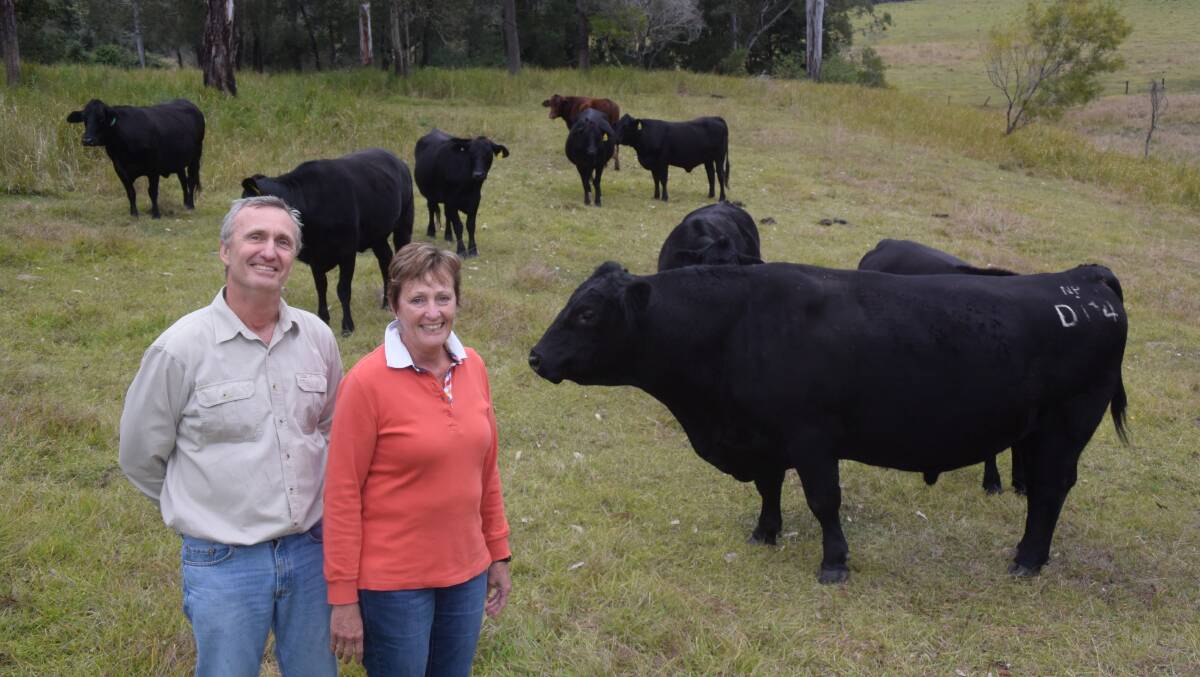 Geoff Simkus and his sister Rose Morrow next to their Nairn Park bull and Angus/ Brahman cross females at Ramornie via Grafton.