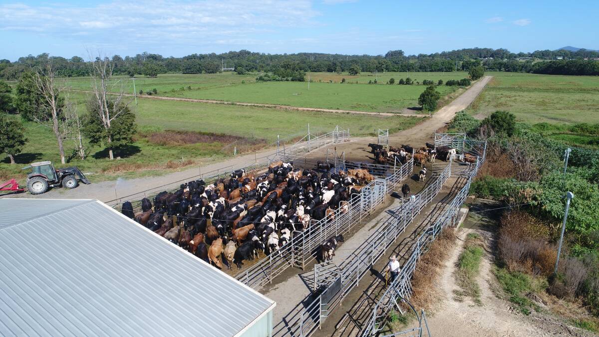 Coporate farming on the Bellinger raised community suspicion. An attempt to build a feed pad to minimise wet weather issues was blocked because people assumed the project was a feed lot.