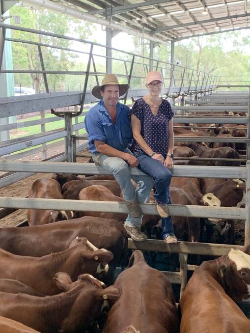 Brad and Trudy Simcox, Mummulgum, with Santa Gertrudis/Hereford weaner heifers, European Accredited, and sold at Casino on Friday for 754c/kg at 310kg to average $2341 for the entire draft of 33 head. Photo: Supplied