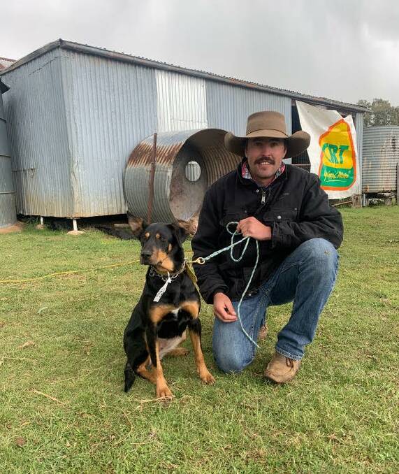 Eaglehawk Lucy with owner Jeremy Grills, Armidale. The black and tan kelpie sold for a new Glencoe sale record of $25,500 on Saturday.