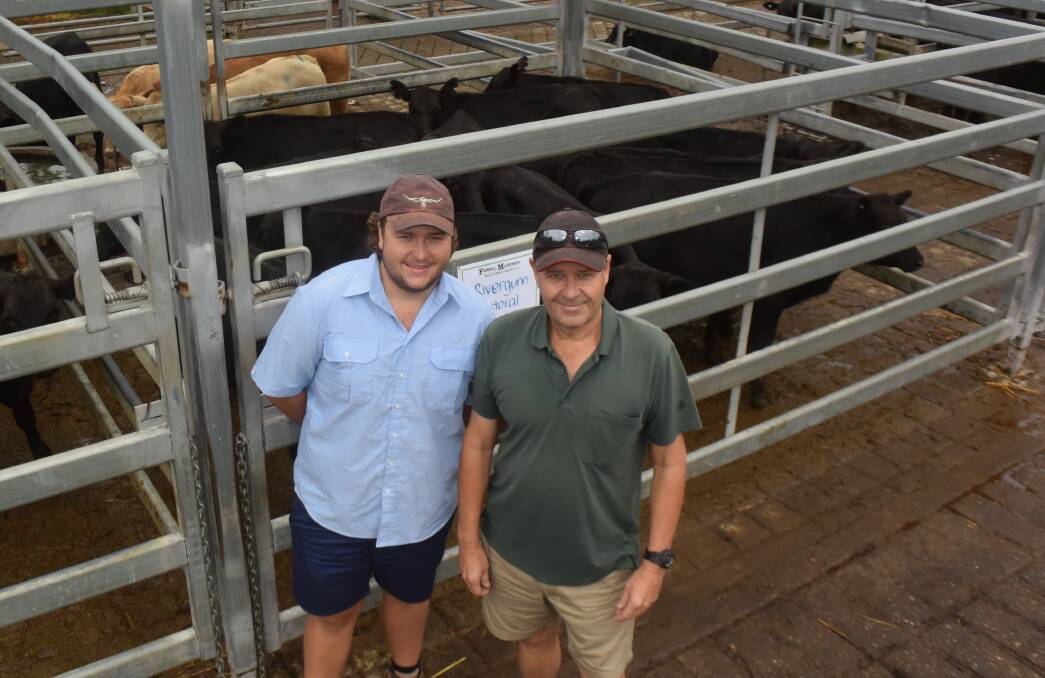Ewan and John Kaehoer, Glen Elgin on the Timbarra, came away from the Grafton steer and feeder sale with a pen of Brangus steers, 245kg for 564c/kg or $1386 and will grow them out to feeder weight on bountiful pasture.