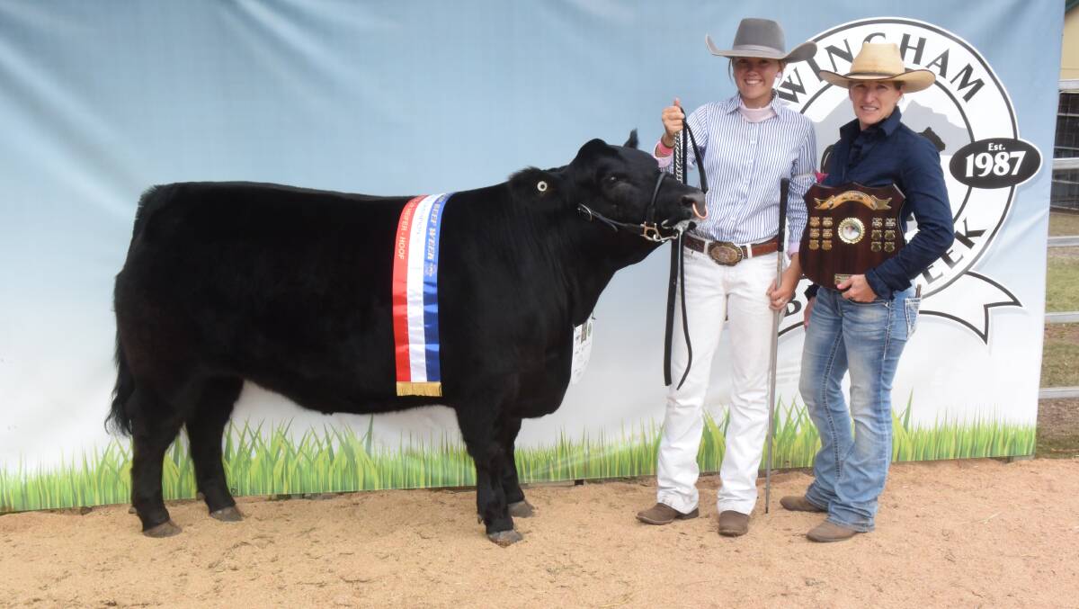 Champion led steer of Wingham Beef Week, A Limousin infused Angus bred by Scott Brooker, Rouchel, and led by Claudia Atfield, student at St Josephs High School, Aberdeen, with her agricultural teacher Lisa Bright.