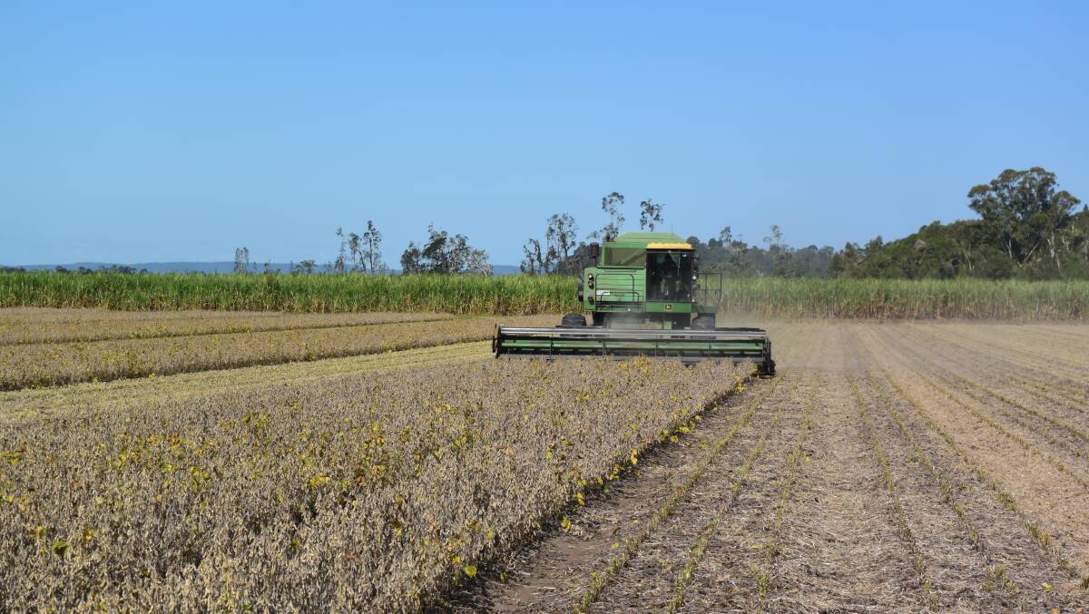Harvesting soybeans this season on the Mid-Richmond.