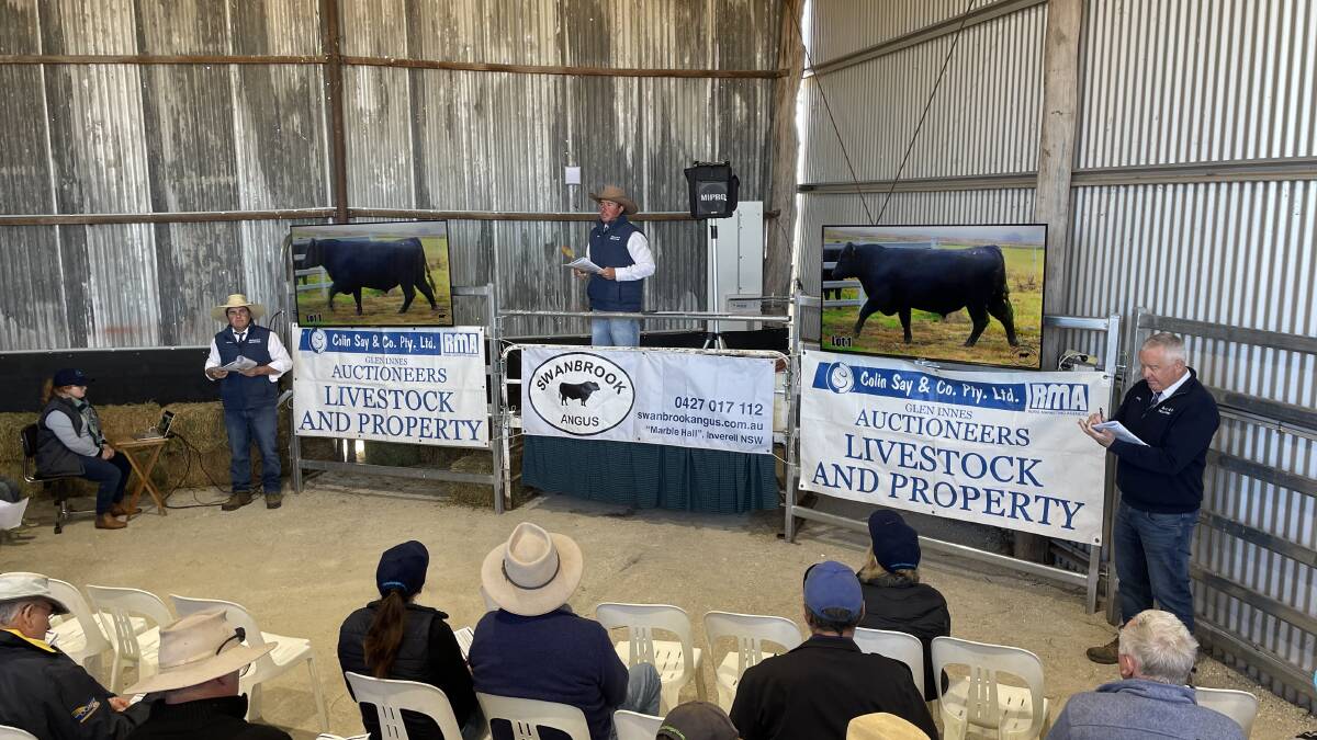 Top selling Swanbrook R220 made $20,000 during Saturday's auction in Glynis Turner's new (old) selling barn.