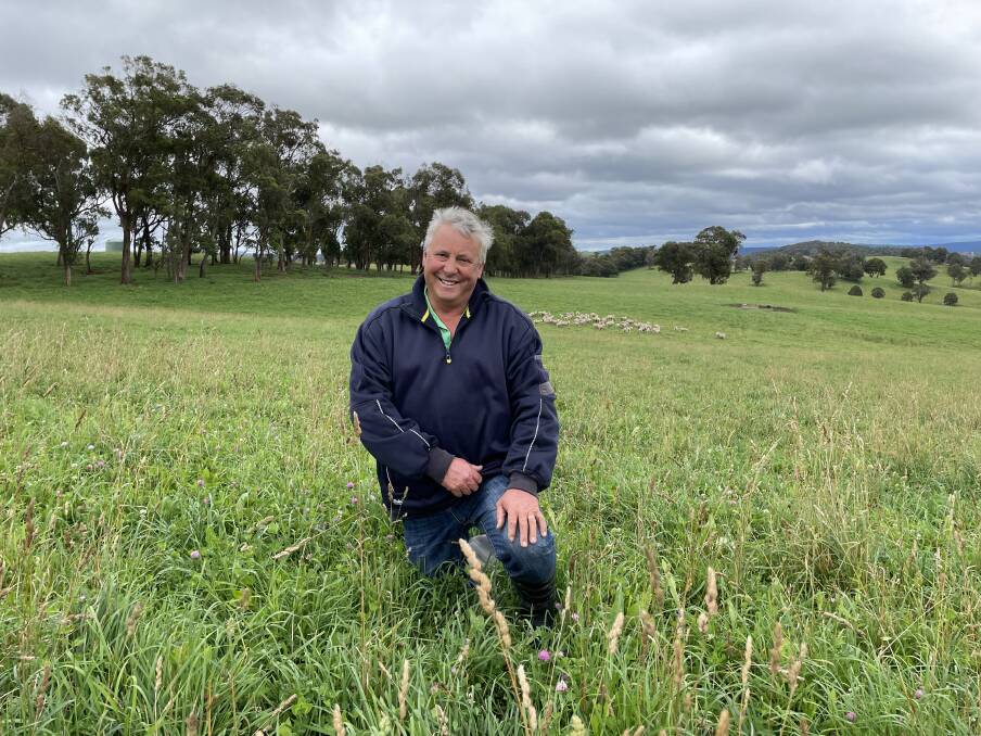Richard Ogilvie, Te Angie, Wongwibinda, in an improved paddock with diverse grasses and herbs that now supports eight times the number of stock compared to when it was full of lean native pasture.