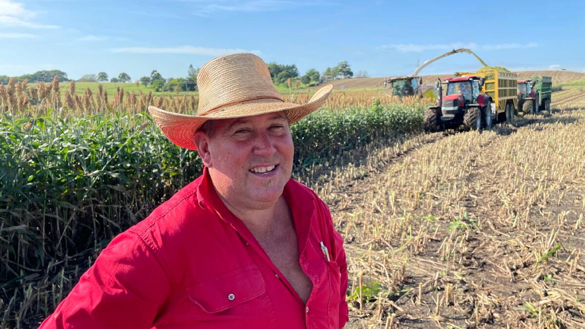Dairy farmer and farming contractor Terry Toohey, Padua Park, via Casino, with a crop of forage sorghum that yielded 47t/ha.