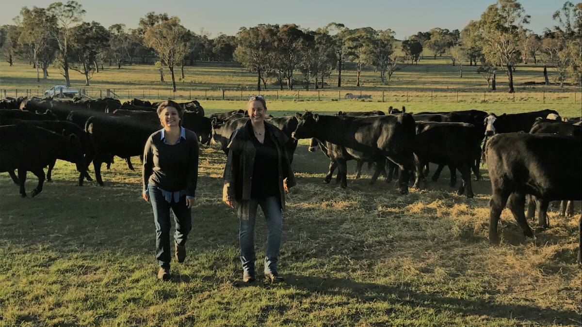 Anita Taylor, “The Hill” Kentucky and Sarah Burrows, Balala, both via Uralla, are close to launching Australia's first on-farm commercial abattoir.
