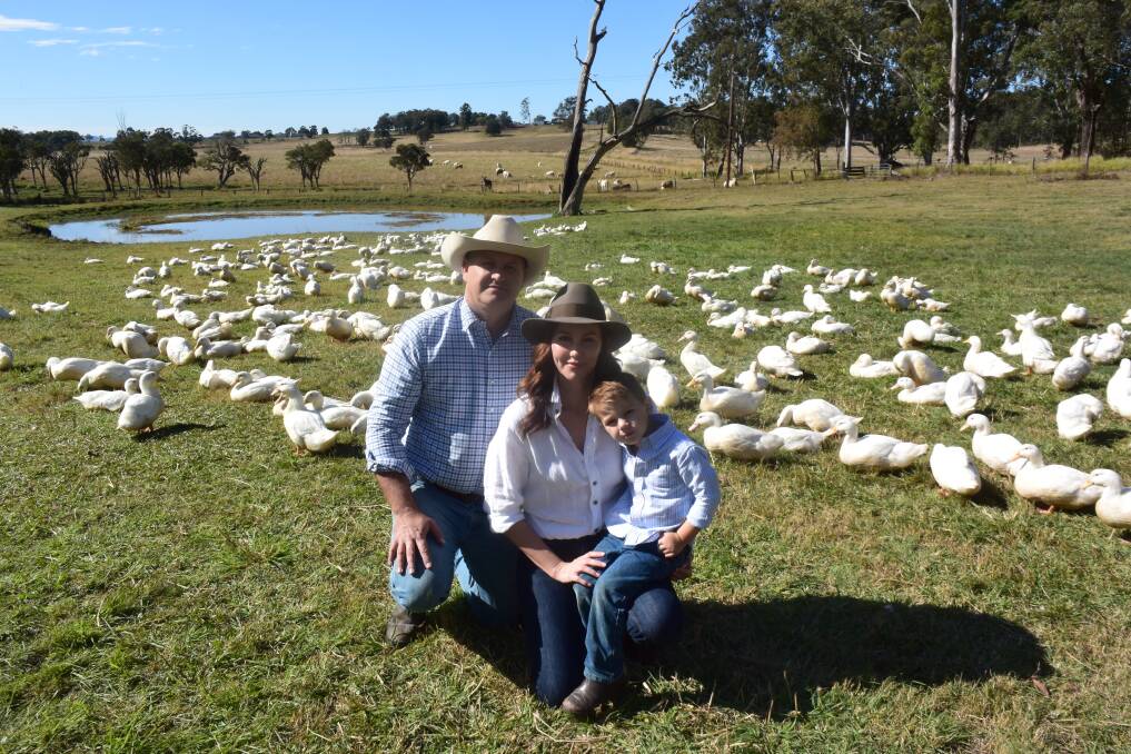 Jeremy, Jess and Tom Cruickshank, Piora via Casino, are reinventing themselves as duck producers after their livelihood growing poultry was terminated.