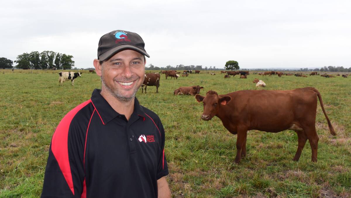 Terry Blasche, Fairy Hill via Casino has improved his herd genetics through the introduction of Scandinavian red dairy semen. In 2017 the Blasche’s herd was acknowledged by the Australian Red dairy breed society for having the greatest genetic gain over the previous 12 months.