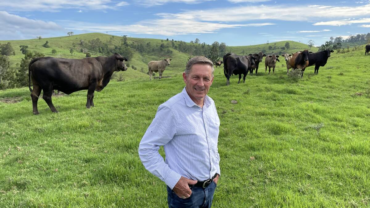 Beef producer Tom Amey, Simpkins Creek via Casino. This farm needs to give back more to earn carbon neutrality.
