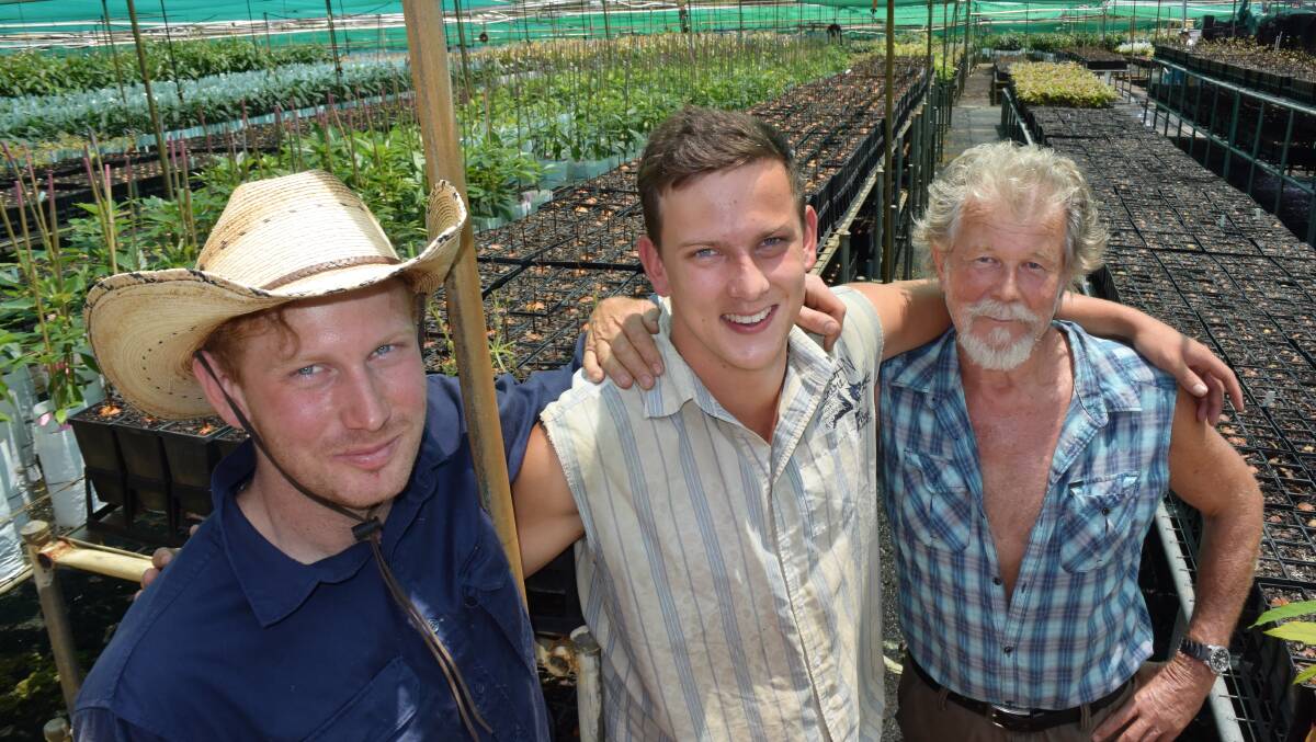 Graham, David and Graham Anderson, Duranbah via Tweed Heads, have a three year waiting list for their avocado rootstock as the industry expands exponentially.