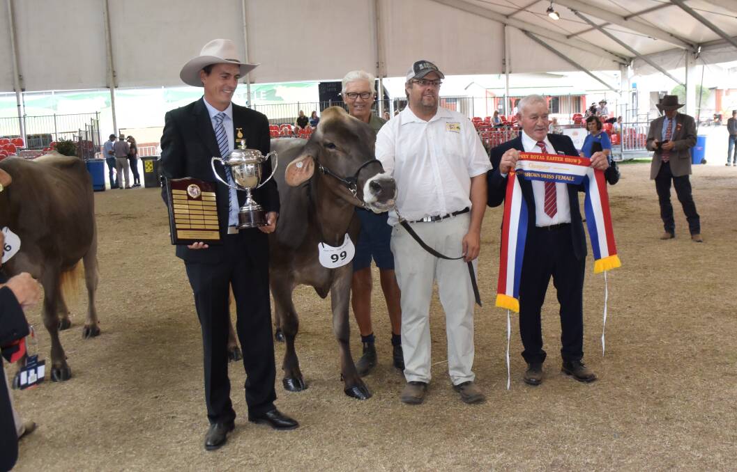 Benleigh Goldwyn Peggy-IMP-ET, exhibited by the Wake family, Singleton, was awarded senior champion Brown Swiss. Pictured are Royal Agricultural Society Cattle council member, Michael MacCue, breeder Max Wake, handler, Gavin Wake, and judge, Neville Wilkie.