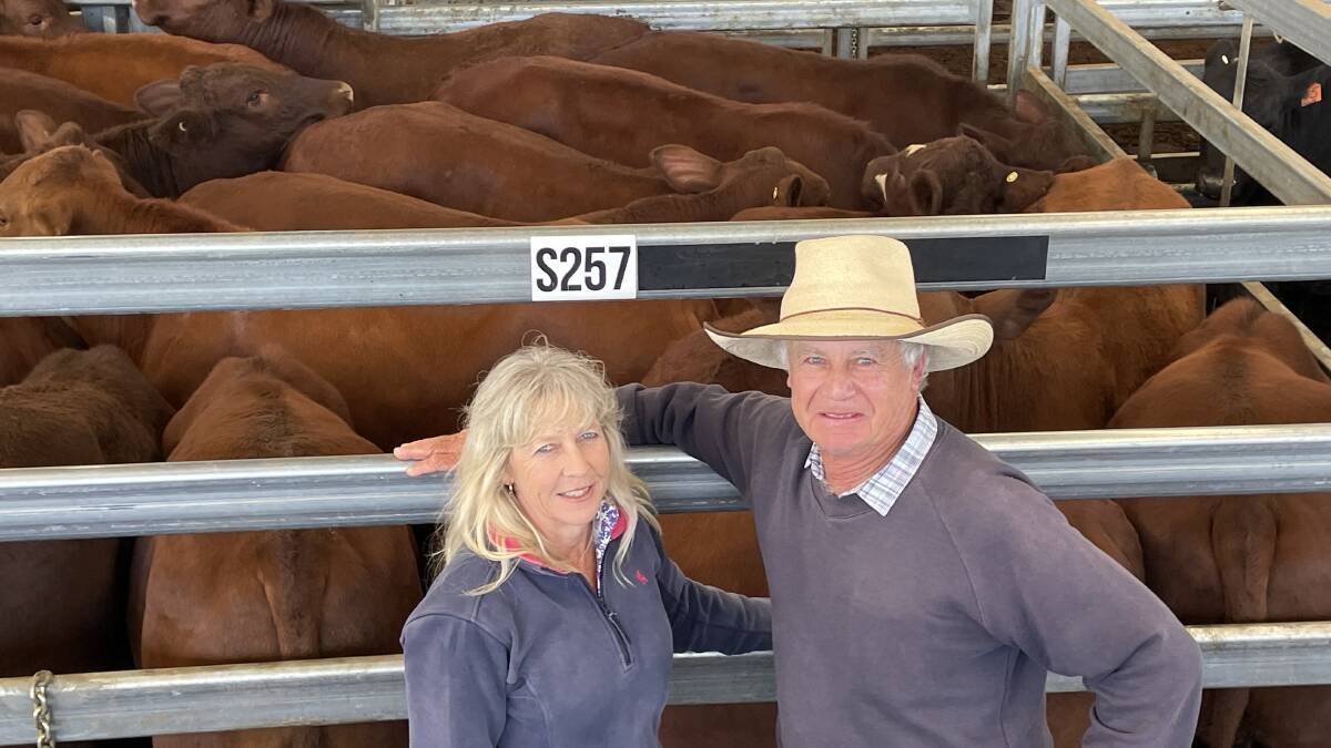 Tracey and Robert Doak, Bundarra, sold champion steers, Santa Gertrudis, with Yulgilbar and Hardigreen Park blood 349kg for 360c/kg or $1256 a head at Inverell on Friday.