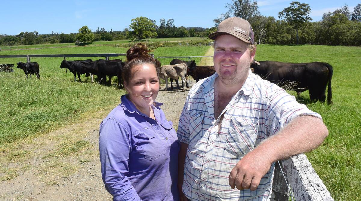 Young cattle traders Tamika Beard and Jessie Stokes on leased country in the Hastings Valley where agistment opportunities are keeping their cattle trading enterprise afloat at a time when land prices are sky high.