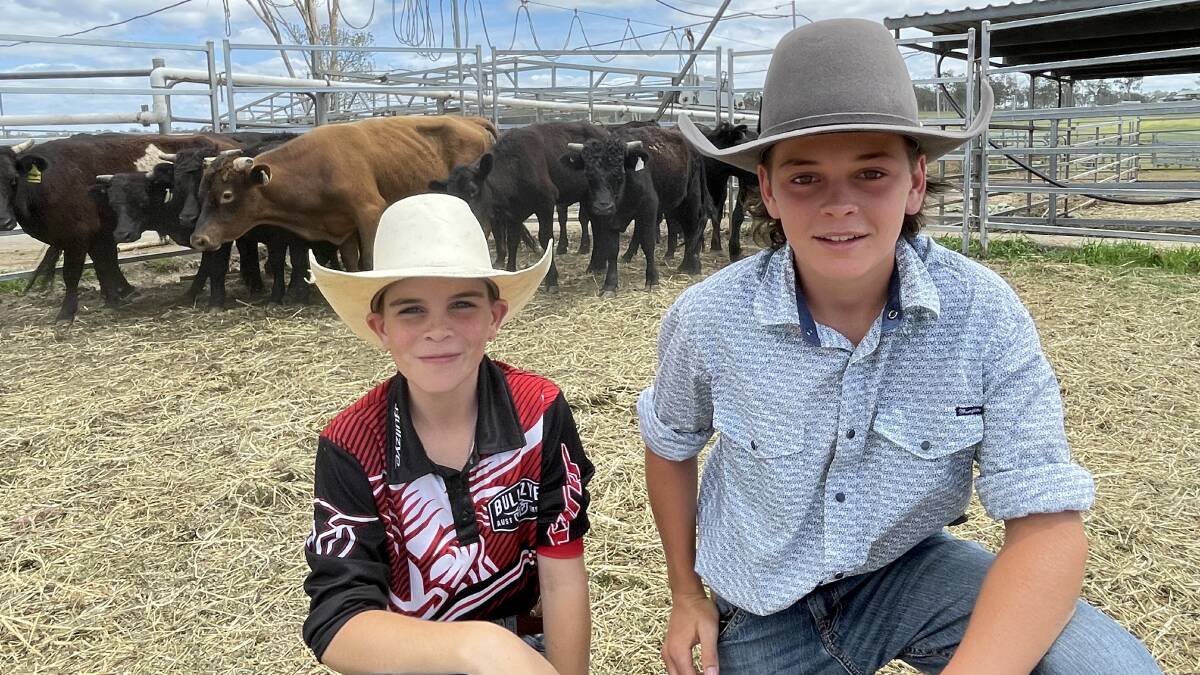 Kye and Laine Falls, Southgate on the lower Clarence, with a mob of mini bucking bulls they call their own. This sort of education beats school any day!