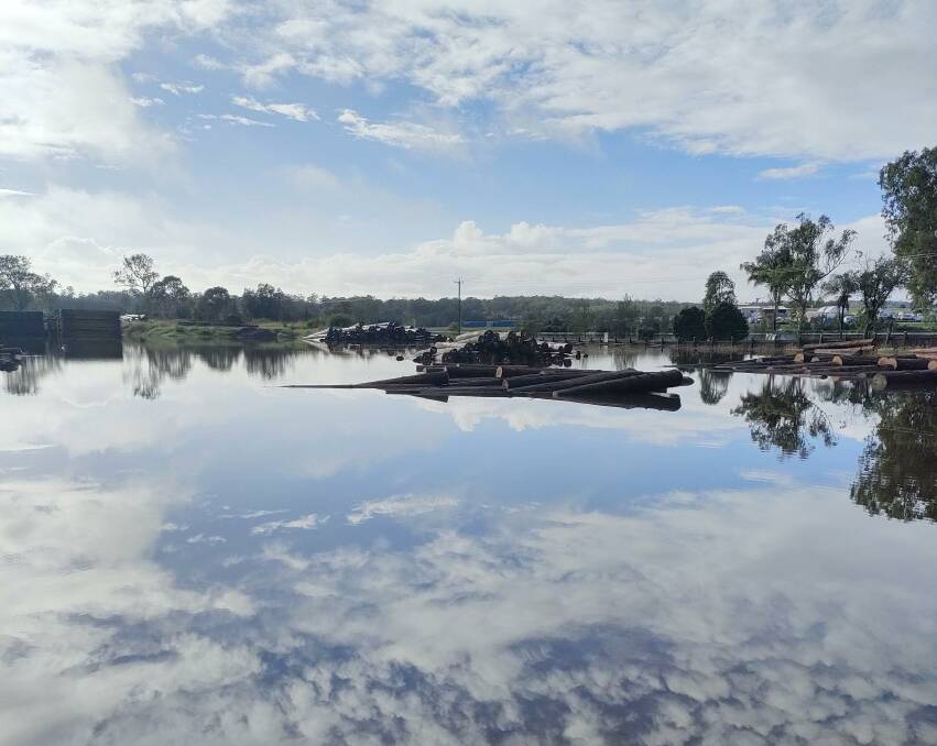 March floods left the timber yard at J Notaras and Sons South Grafton hardwood mill under water. Photo: Supplied