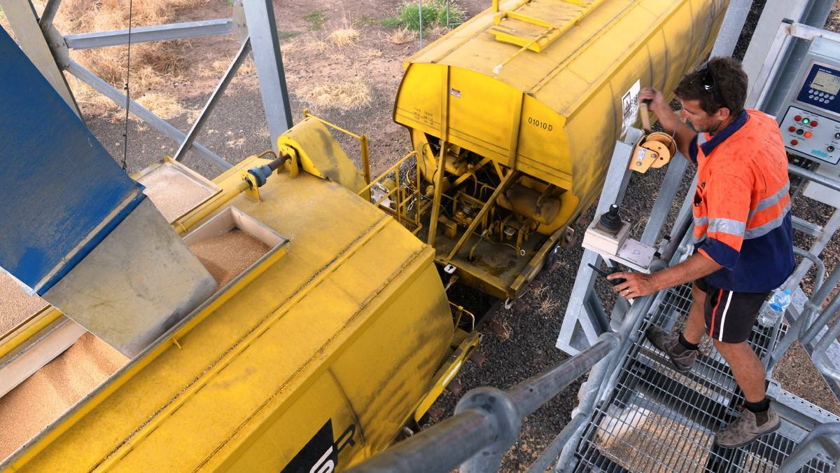 Louis Dreyfus Commodities grain operations manager Phill "Kiwi" Cowell, Narrabri, loading grain into rail wagons. Photo: Rachael Webb
