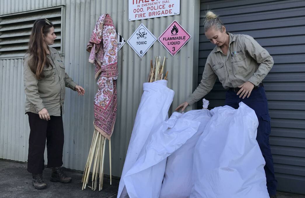 Rous County Council biosecurity officers Brook Hoosan and Karolina Pemberton secure a seized consignment of the noxious weed pampas grass at Byron Bay on Thursday. Photo Kim Curtis/ Rous County Council.