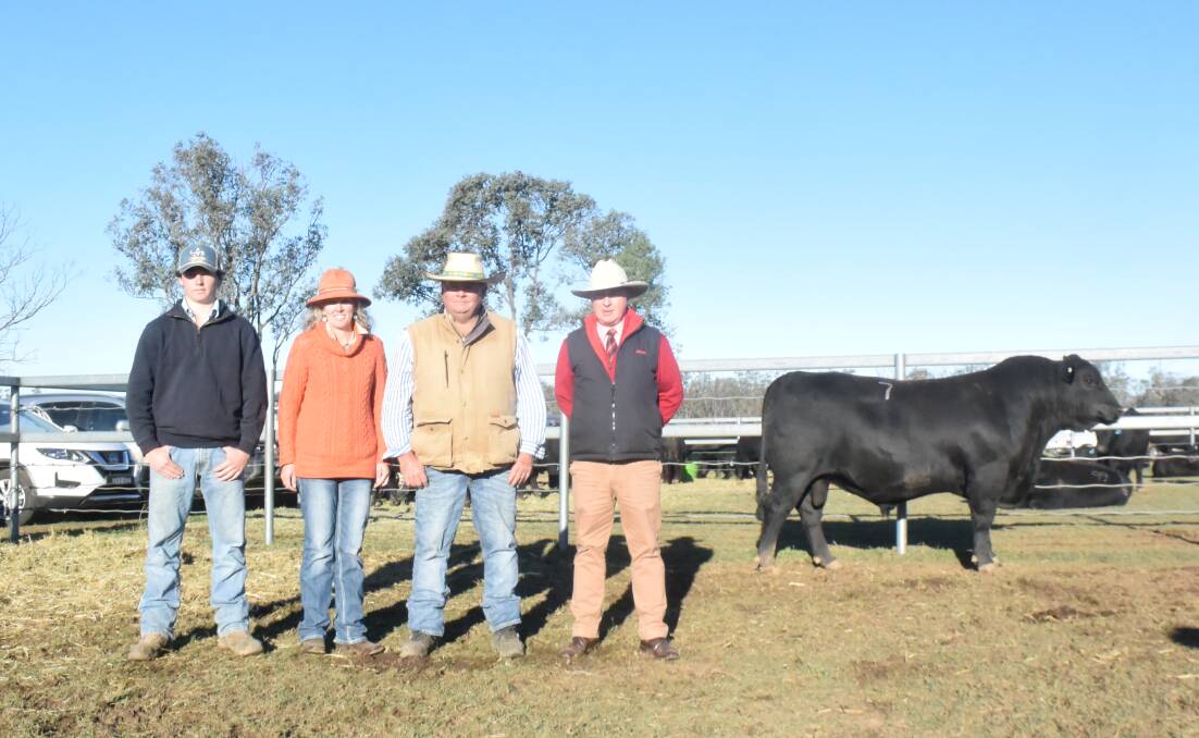 Top selling bull Clunie Range Qlunie Q482 with winning bidders Lachlan and Rob Costello with Jo Barr from Nairn Park Angus at Walcha with auctioneer Andrew Meara, Elders stud stock, Toowoomba.