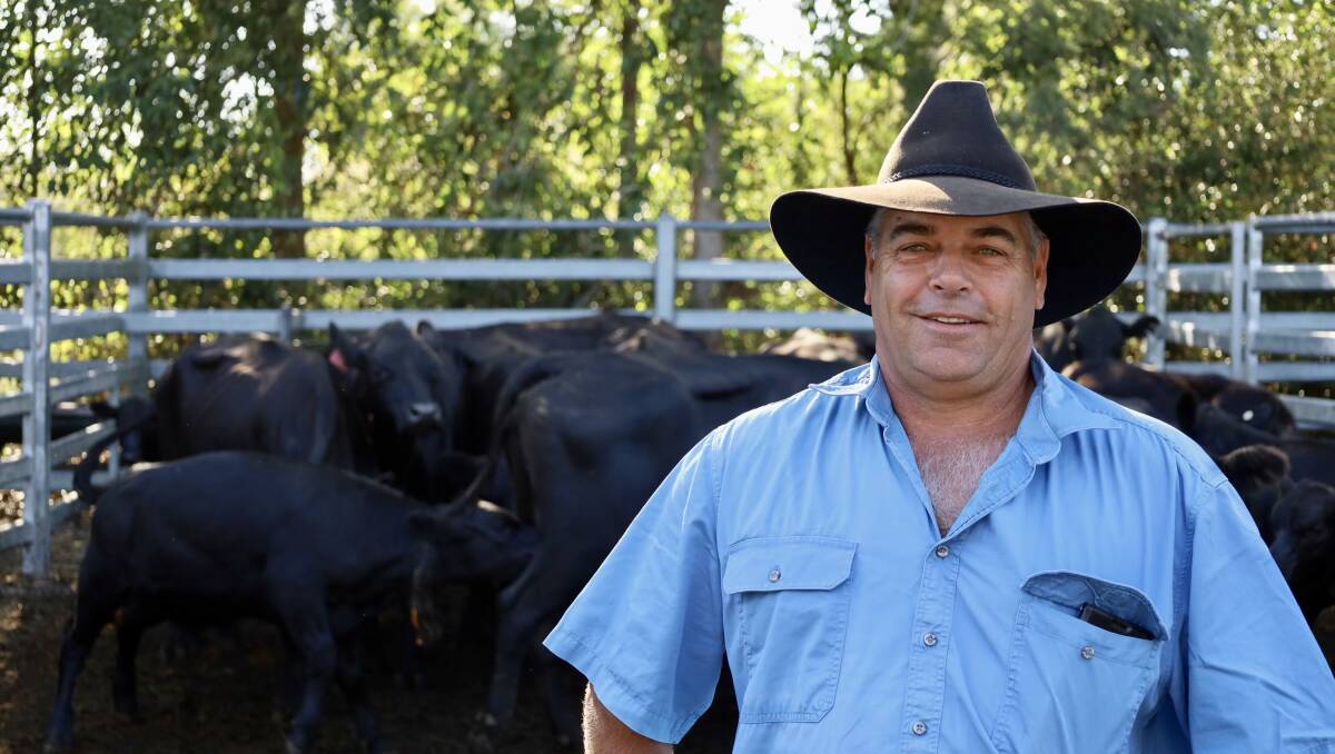Wayne Mainey, Toorooka, with cows and calves that made $2650 at Kempsey on Saturday. Photo is supplied.