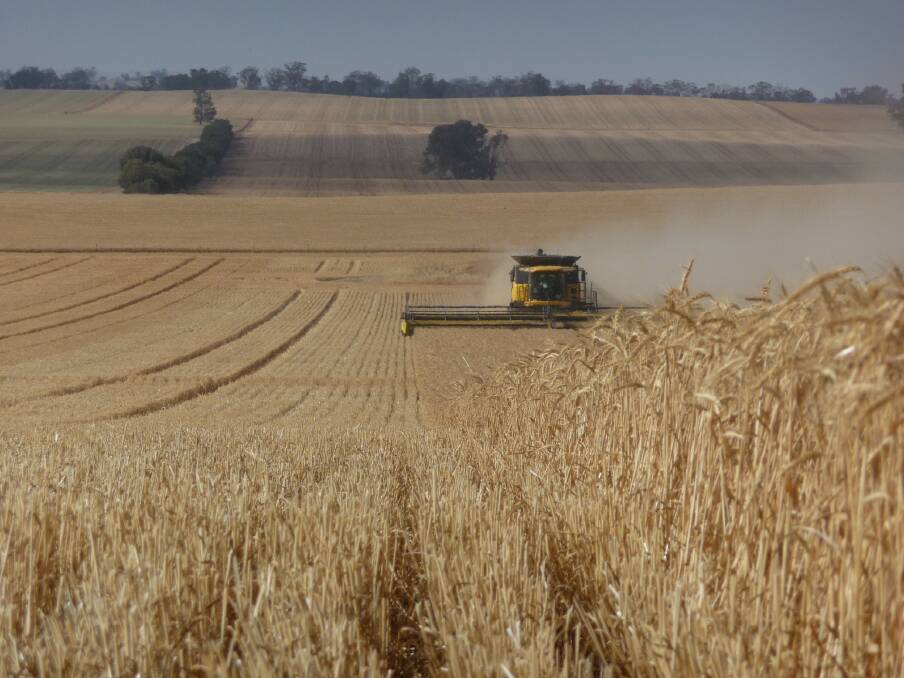 The NSW winter harvest is already starting to wind-up and total GrainCorp harvest deliveries are now around 260,000 tonnes.