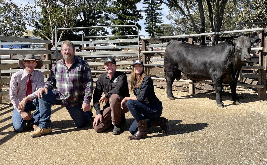 Top selling bull at Grafton, Franklin Raindance R12 with agent Jonny Cowan, repeat buyer Andrew Moran from Lowanna and breeders Nick and Blaire Franklin, Upper Orara.