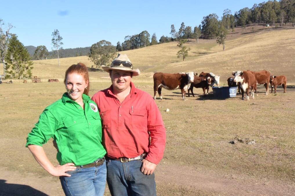 Bianca and Dave Tarrant were determined to breed weaners on their new property at Baryulgil until drought and bushfire forced them to pursue another path.