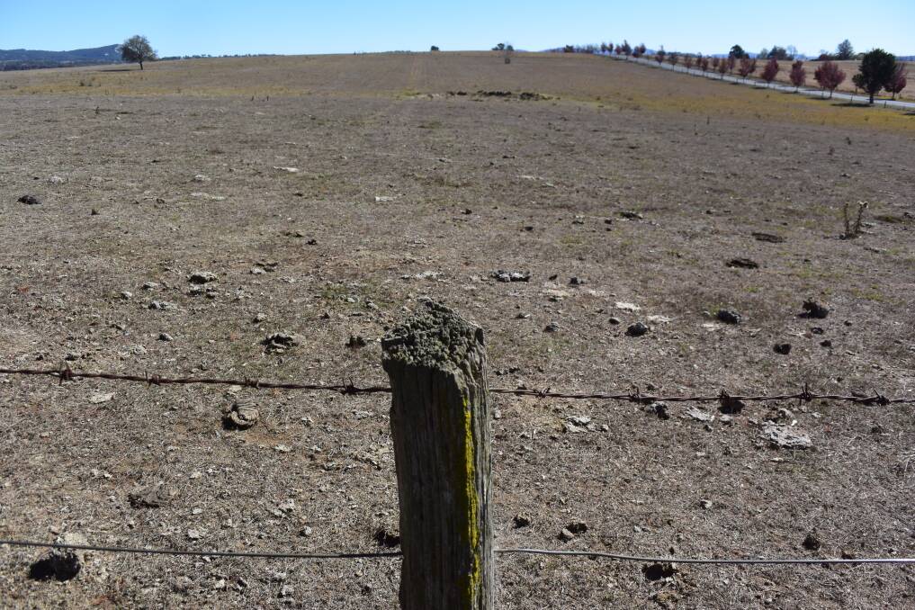 Containment paddocks can help manage drought ravaged pasture by limiting the impact of cattle on-farm.