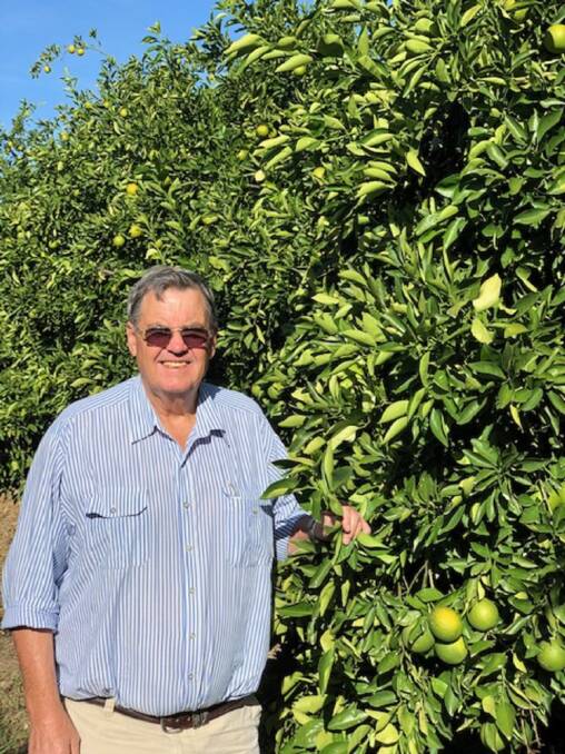 Moree orange grower Dick Estens says Friday's decision to reject fresh fruit juice as healthier than diet cola will damage regional economies.