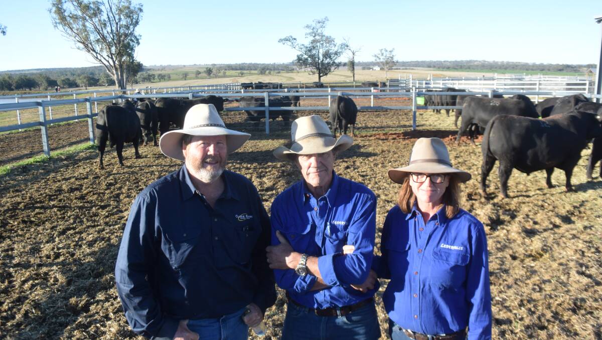 Volume buyers Ed and Zo Lederhose, Lederville on the Rocky River with Clunie Range stud principal Brett Guest.
