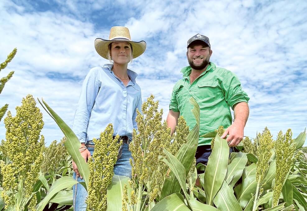 Agronomist Alliarna Brazel from McGregor Gourlay with her client Jack Ticehurst, Gunyanna at Garah, among a good crop of MR-Bazley variety sorghum.