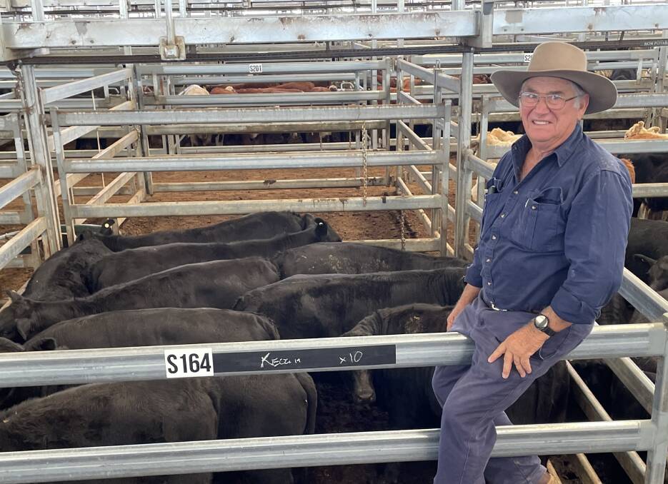 Robert Keough, Auburnvale, sold Angus heifers, off their mothers, 285kg after eight months for 306c/kg or $1128 at Inverell on Thursday. 
