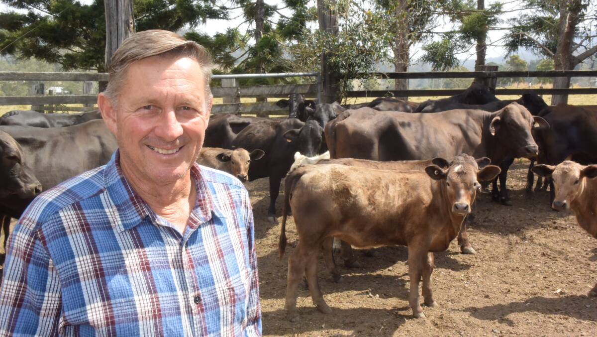 Tom Amey, Mummulgum via Casino, topped the state at last week's MSA eating quality awards by breeding a three-way cross that produces calves with 25 per cent Brahman content. Access to creep feed is key.
