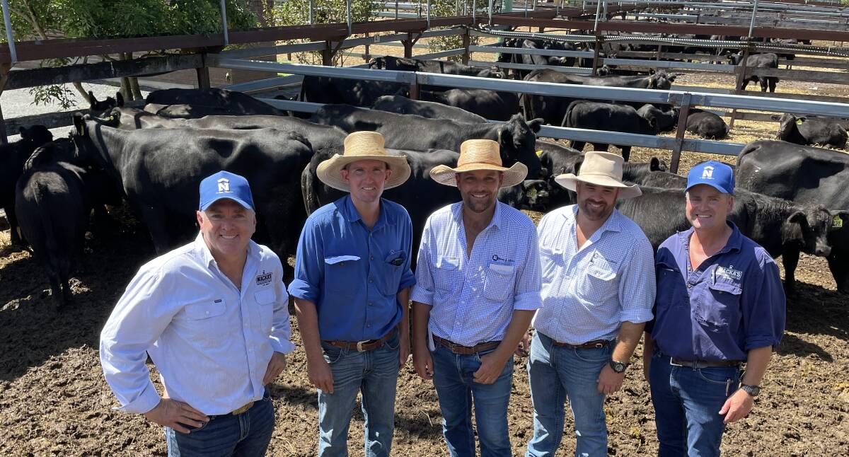 Robert Mackenzie, Macka's Beef, with top buyer Jamie Grosser, manager of Boambee Angus at East Seaham; auctioneer Rodney McDonald and agent Michael Easey, Bowe and Lidbury, with Macka's livestock manager Corey Ireland and the top selling pen of cows PTIC with calves that sold for $5450 at Gloucester on Friday.