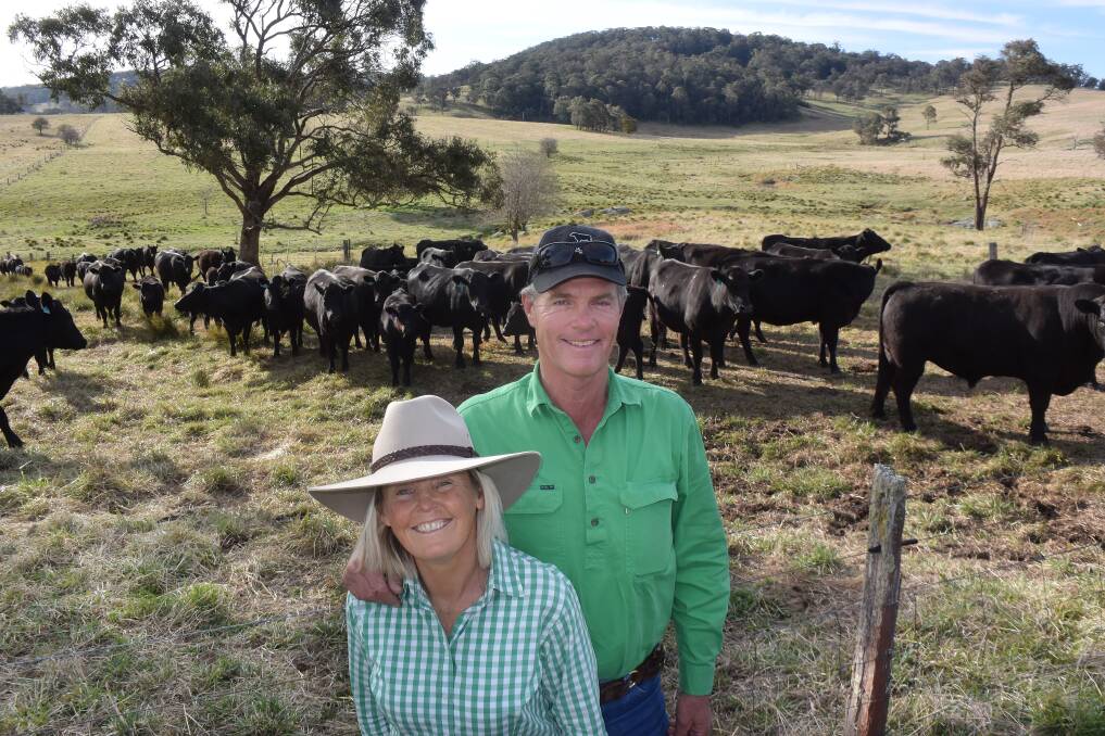 Creeks are flowing again at Buckandor via Glen innes where Sally and Gordon Wollen have invested heavily in a post drought crop of Angus calves. Their decision to keep going will now be rewarded.