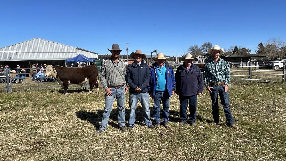 Lotus Reflect R160 sold to record money at Pinkett on Thursday with stud principal Cameron Hollis, auctioneer Shad Bailey Colin Say and Co, Angus Vivers Jindalee Herefords, Bluey Commins Nunniong Herefords and Ace Hollis, Lotus, stud principal.