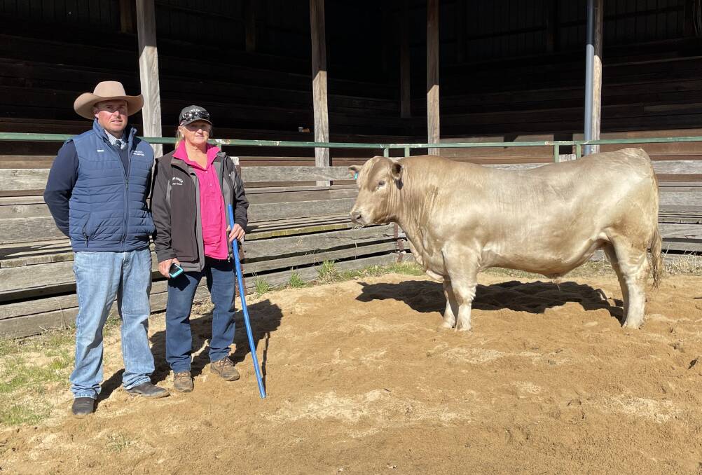 The $17,500 Carlinga Shakespeare S72, bred by Kym Charleton, Boggabri, with auctioneer and agent Shad Bailey, Colin Say and Co at Glen Innes.