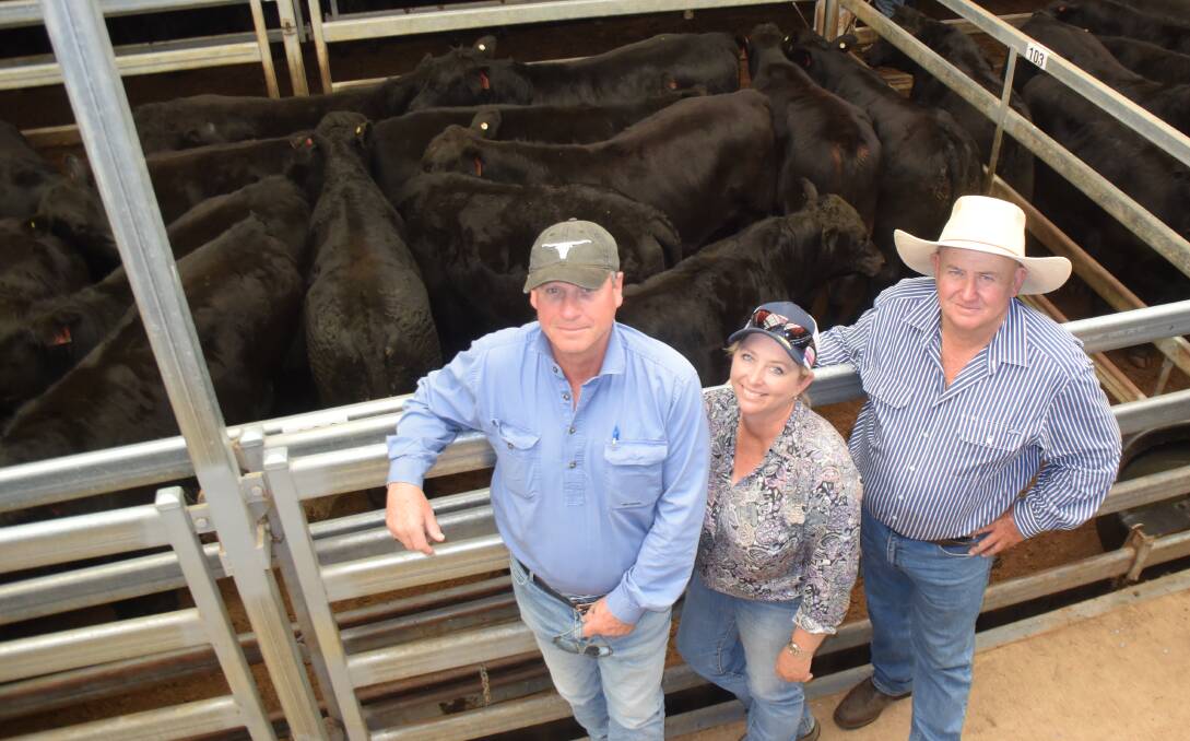 Boulton Carpenter, owner of Carnegie at Niangala with station hand Amy O'Neill and manager Barry Green with Santa/Angus steers that sold to a top of $1830/hd at Tamworth on Friday.