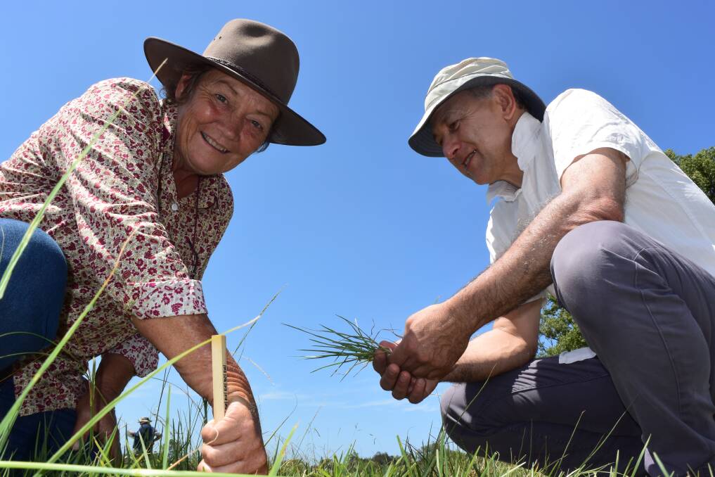 Judi Earl, Coolatai, and Lewis Kahn, Armidale, have delivered countless instructions to producers on how best to budget pasture in order to maintain adequate ground cover. A simple measuring stick is the best tool.