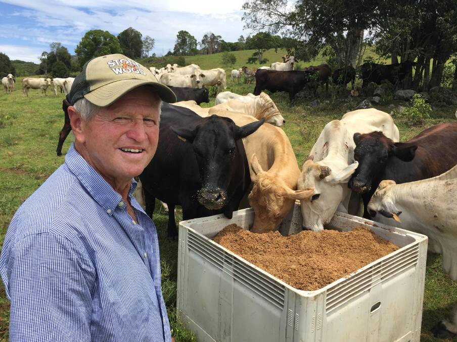 Greg Hunter, Federal via Byron Bay, feeding Brahman cross breeders a moorish supplement provided by a favourite brewery.