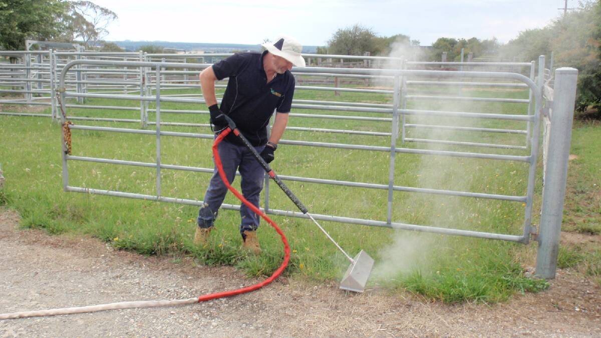Use steam power to kill weeds