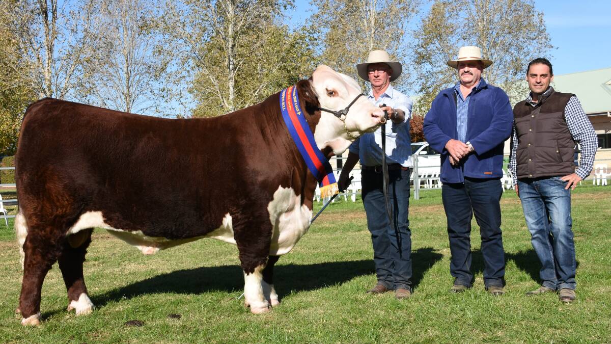 The 2018 Wodonga sale topper Glendan Park Maddox M024, which sold for $38,000, pictured with Andrew Green, Kyneton, Vic; purchaser Vern Roberston, Goulburn, and vendor Alvio Trovatello, Glendan Park Herefords, Kyneton.