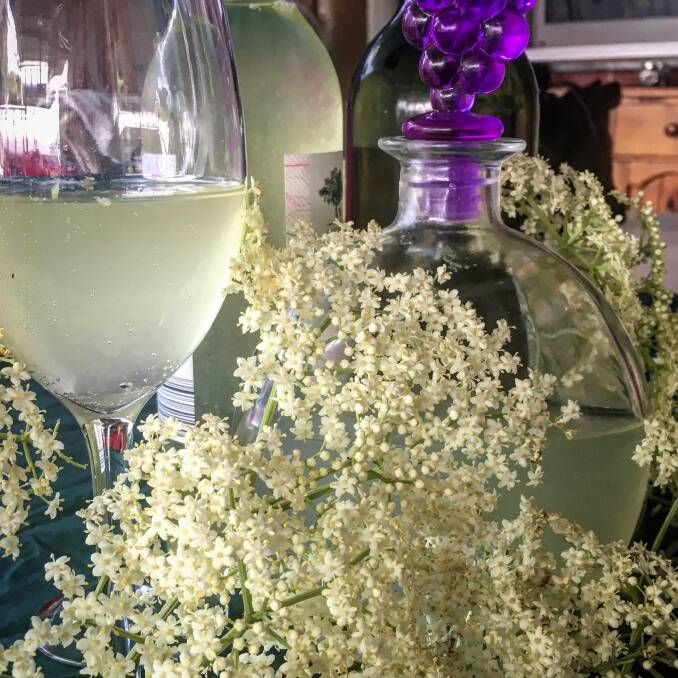 Jo Wilson makes Elderflower fizz as a summer drink from the Elderflower trees in her garden at The Rock. Elderflower berries are harvested in autumn and prepared as an antidote to winter colds and 'flu.